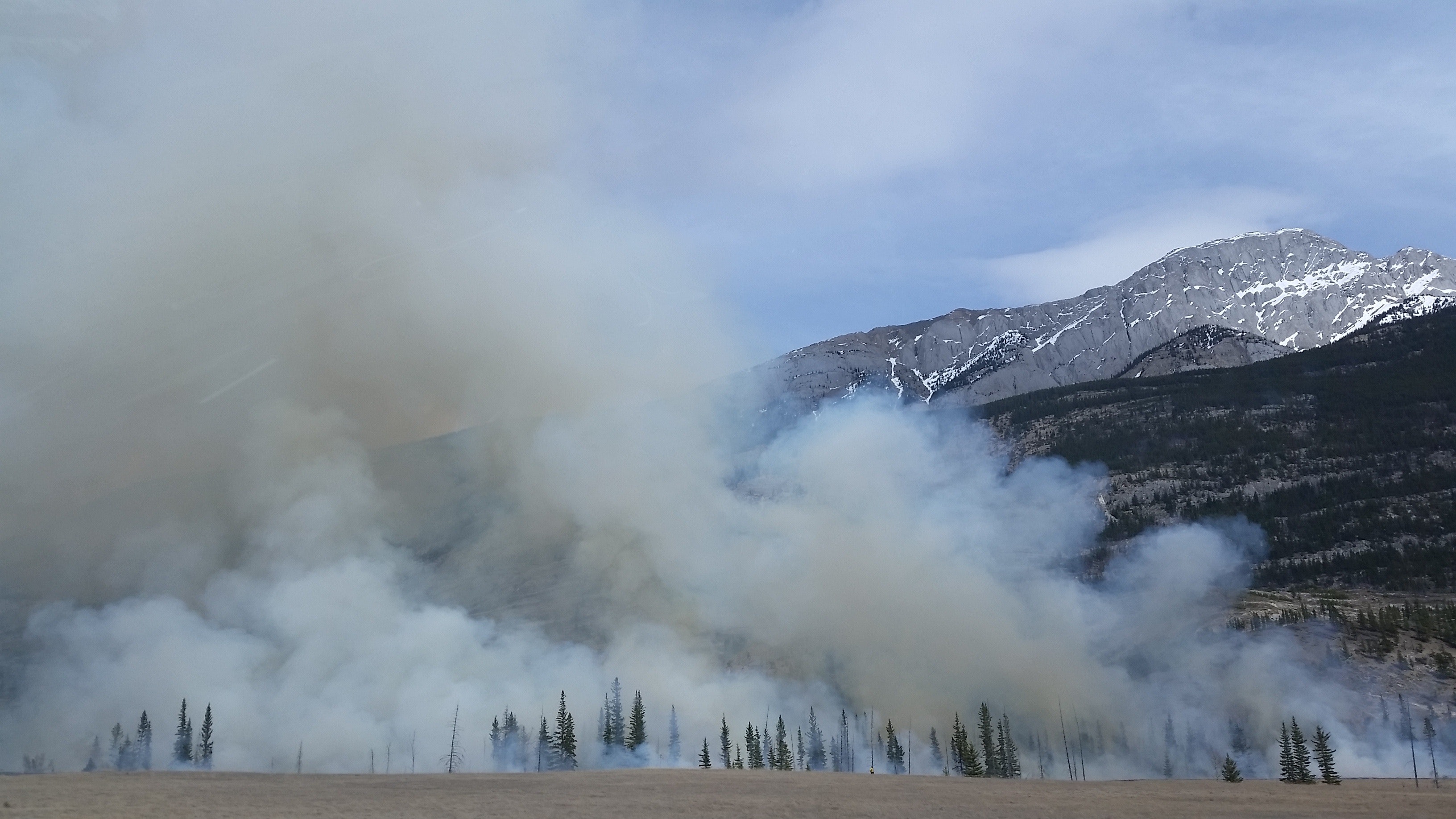 How Biomass Could Reduce the Risk of Wildfires