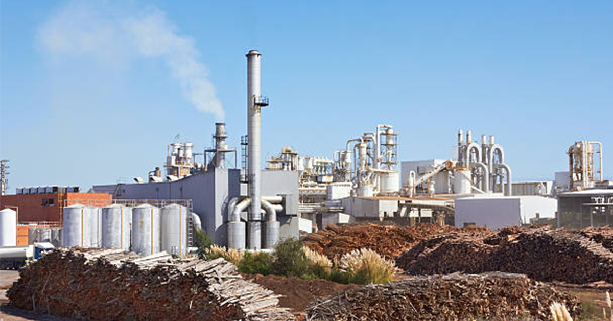 Three Major Moves Reshaping Pulp and Paper Right Now