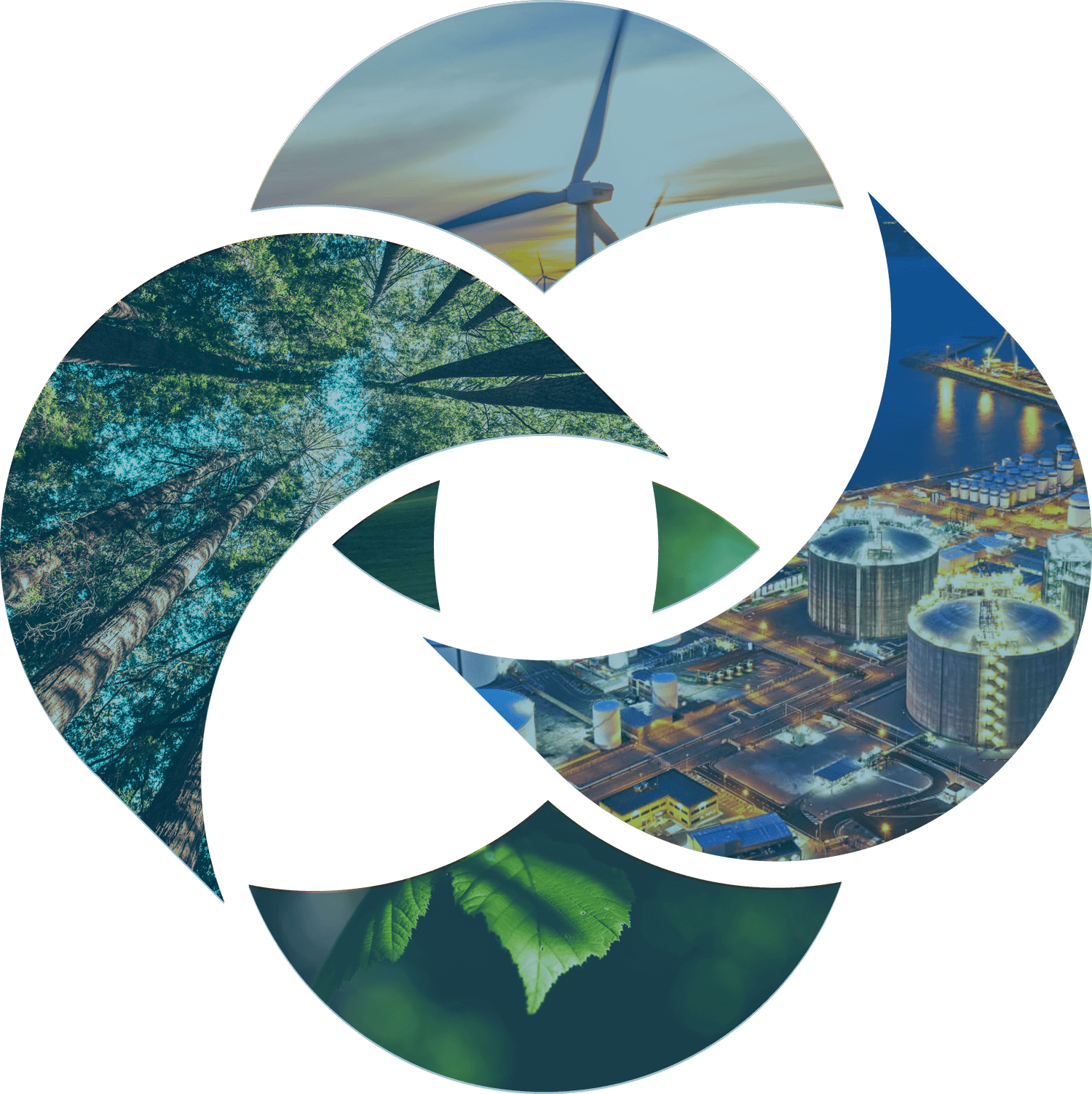 4 color logo of ResourceWise.