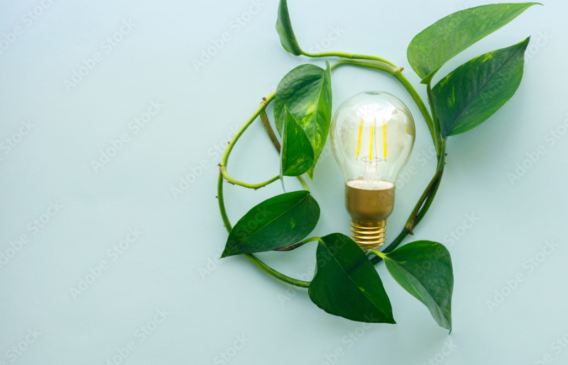 Image shows a light bulb surrounded by green leaves to represent green energy 