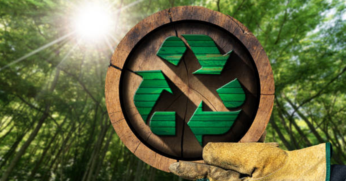 Sustainability Momentum: Key Innovations Shaping the Pulp & Paper Industry