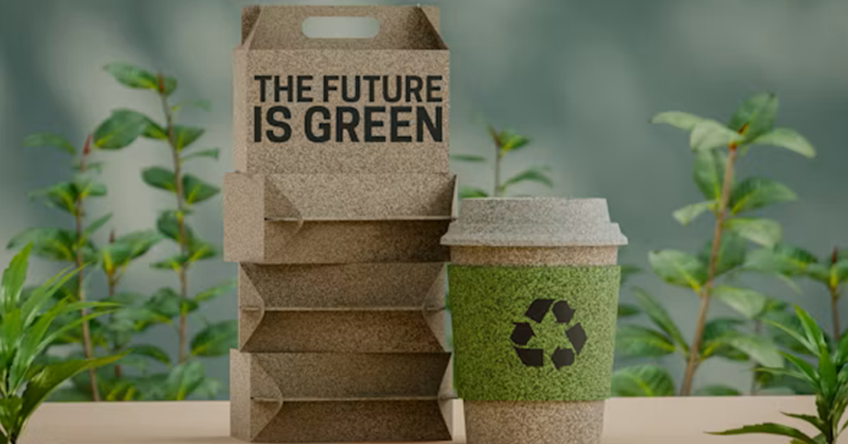 Fiber Forward: Sustainability Highlights from the Paper Packaging Industry