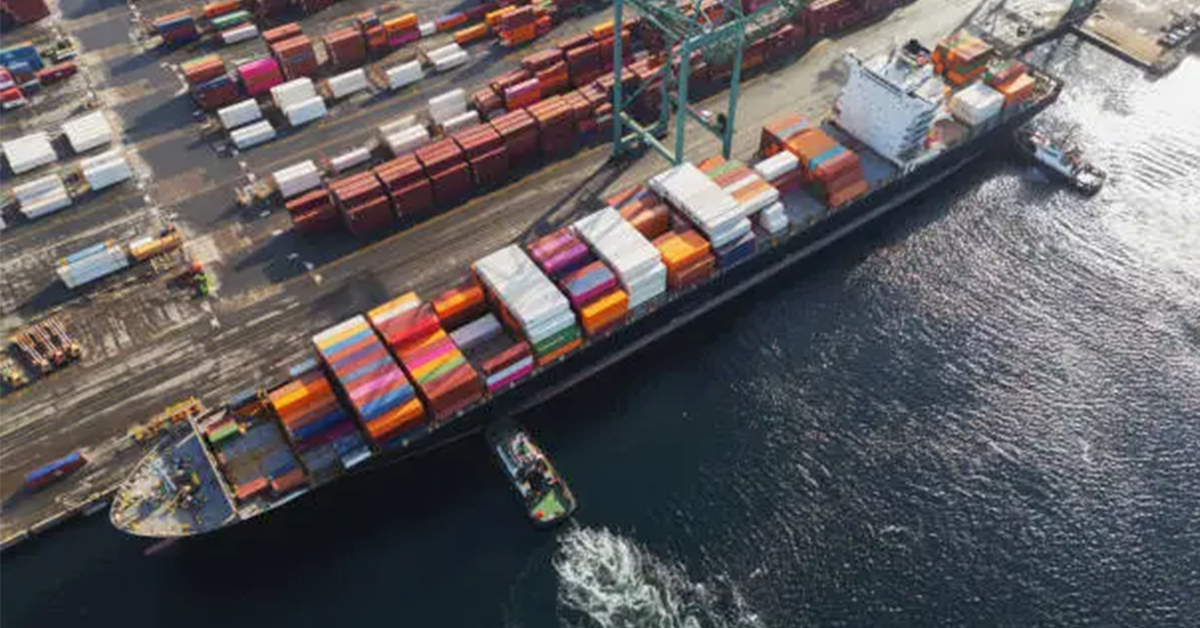 The Ripple Effects of US Tariffs on the Pulp and Paper Industry