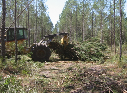 USA BioEnergy Announces Completion of Forest2Market Study Affirming Availability of Wood Waste for Renewable Fuels Production