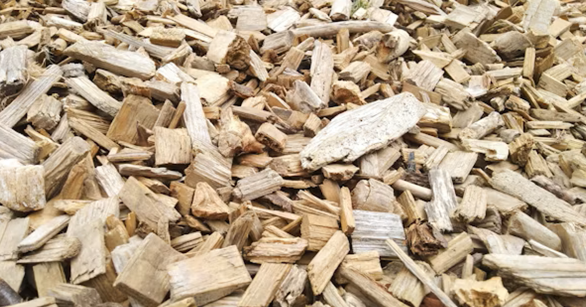 Pacific Rim Market Dynamics: Is Wood Fiber Supply Keeping Pace with Pulp Capacity Expansion?