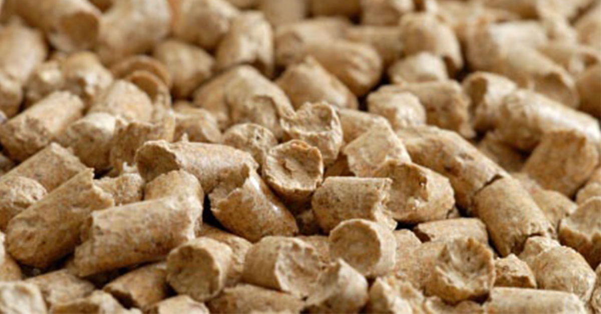 How Asia’s Energy Shifts Are Reshaping the Wood Pellet Trade
