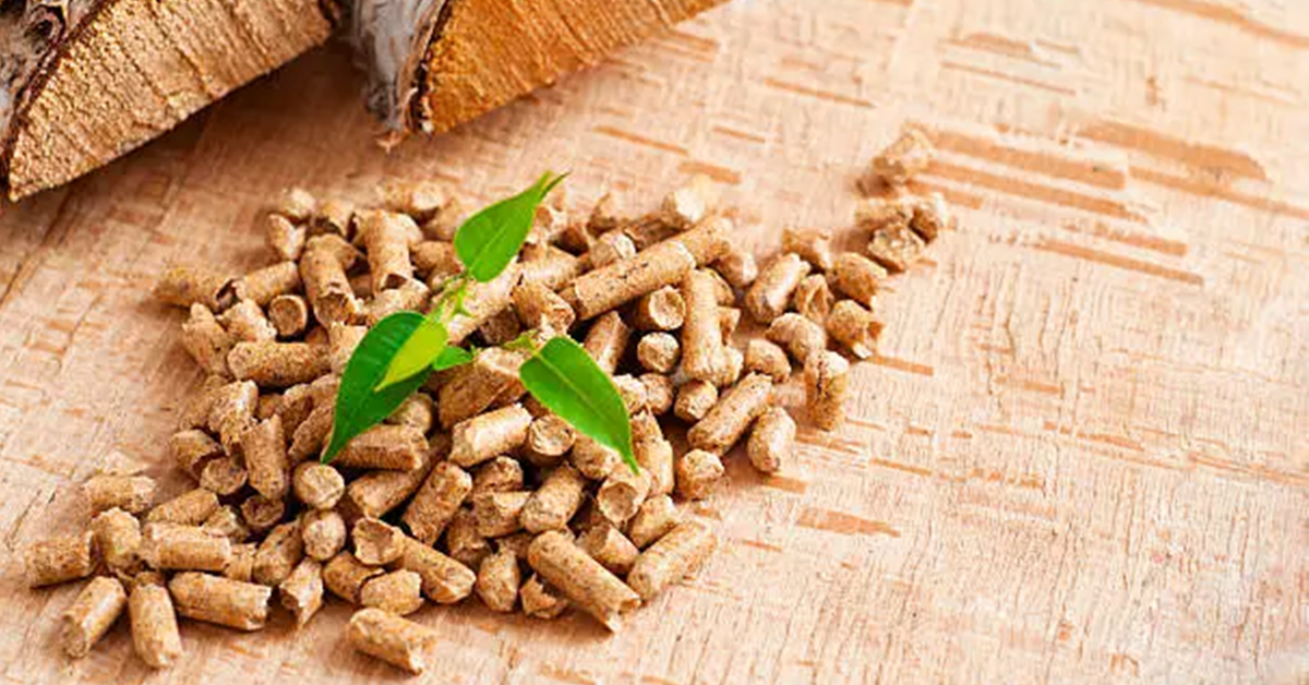Biomass in Transition: What’s Next for Global Pellet Trade?