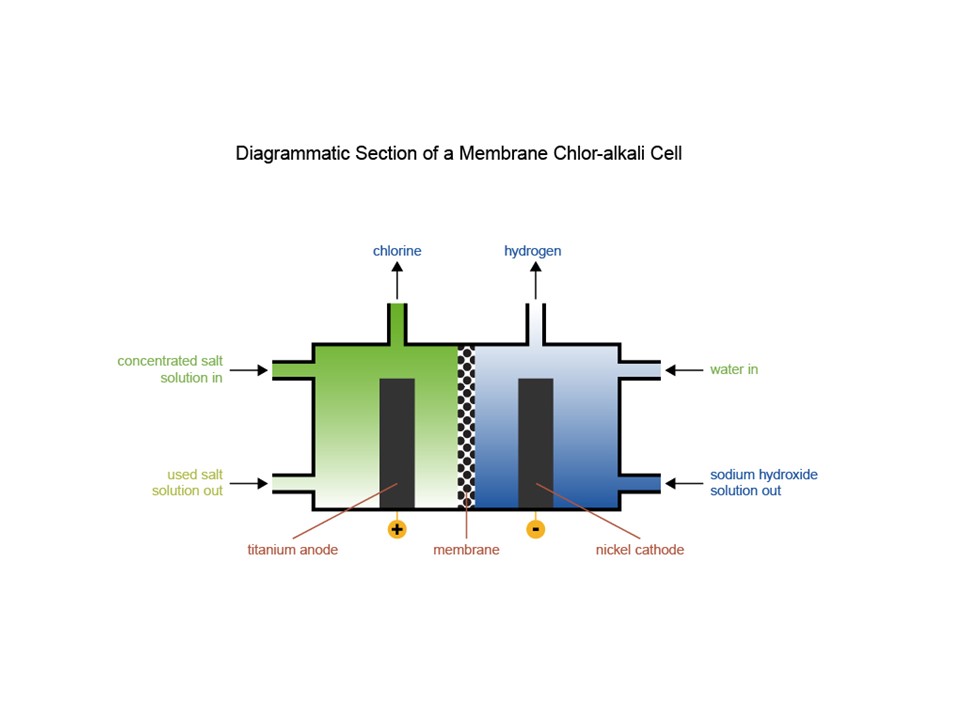 Section of a chlor-alkali cell. 