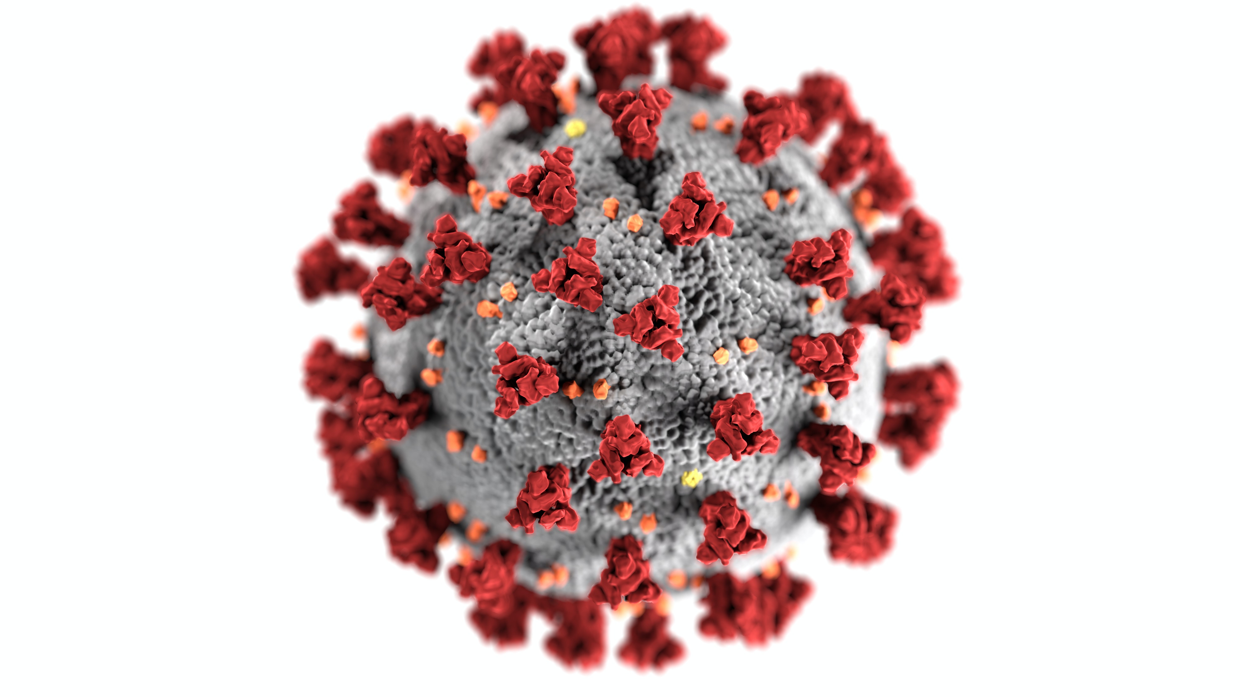 Coronavirus and Petrochemicals Markets – An Update on the News So Far